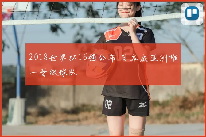 2018世界杯16强公布 日本成亚洲唯一晋级球队