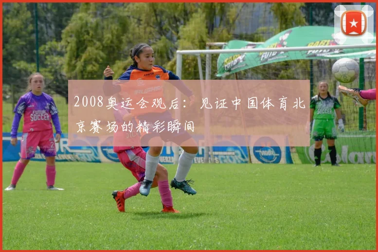 2008奥运会观后：见证中国体育北京赛场的精彩瞬间