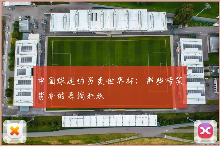 中国球迷的另类世界杯：那些啼笑皆非的恶搞狂欢