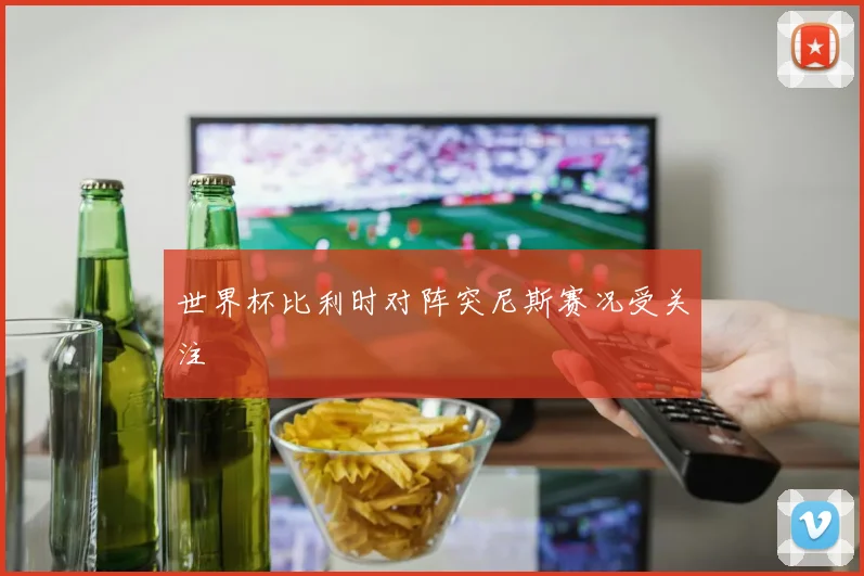 世界杯比利时对阵突尼斯赛况受关注