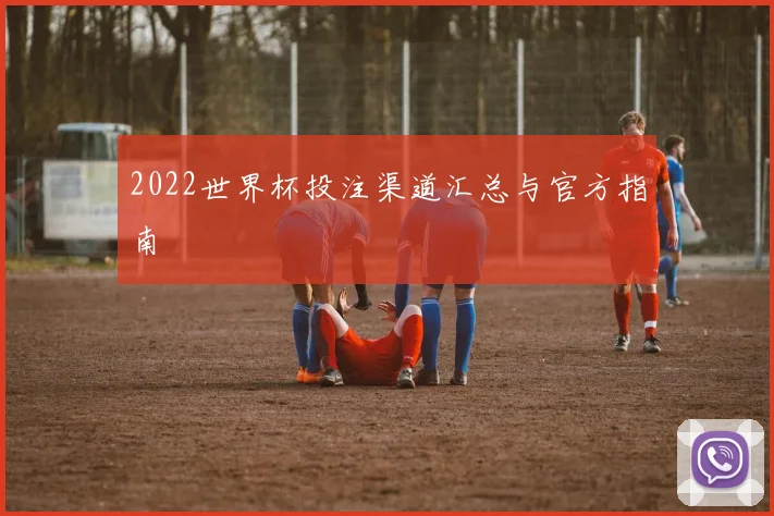 2022世界杯投注渠道汇总与官方指南