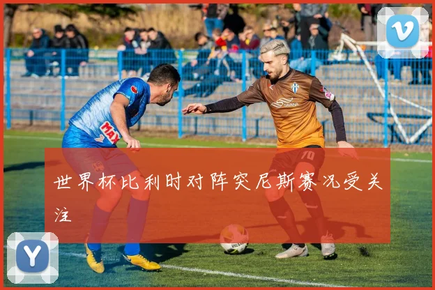 世界杯比利时对阵突尼斯赛况受关注