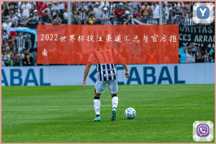 2022世界杯投注渠道汇总与官方指南